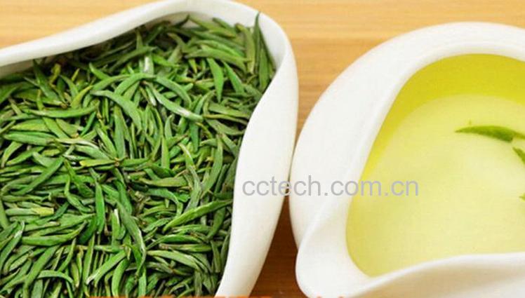 果蔬百科金坛雀舌有哪些功效-0