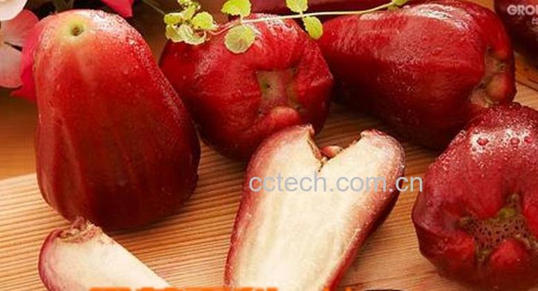 果蔬百科吃莲雾的好处和坏处-0