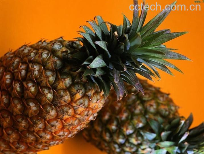 果蔬百科吃菠萝的好处和坏处-0