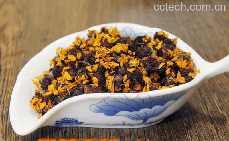 果蔬百科顶级雪菊的功效与作用-0