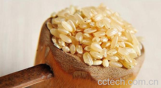 果蔬百科糙米茶的功效与作用-0