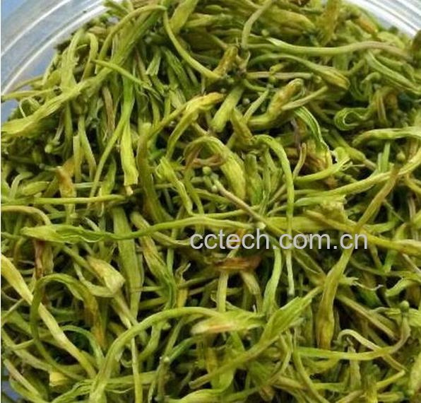 果蔬百科新鲜金银花的食用方法-0