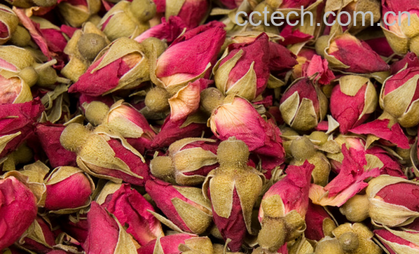 果蔬百科孕妇不能喝哪些花草茶-0