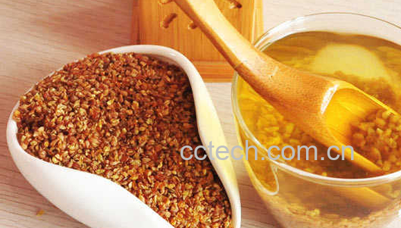 果蔬百科苦荞麦茶的功效与作用-0