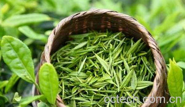 果蔬百科绿茶的美容功效与用法-0