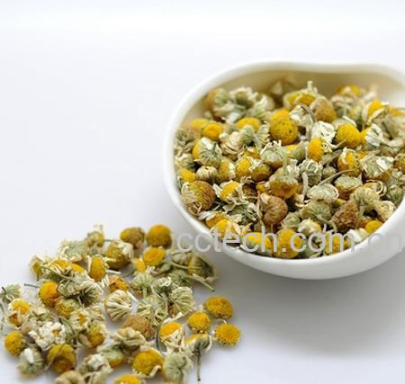 果蔬百科洋甘菊花草茶的功效与作用-0