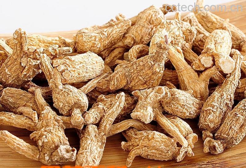 果蔬百科黑茶可以泡西洋参吗-0