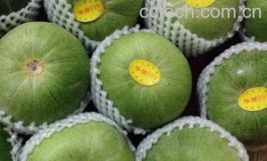 果蔬百科吃甜瓜会上火吗-0