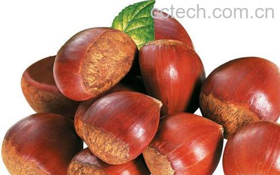 果蔬百科板栗怎么保存-0