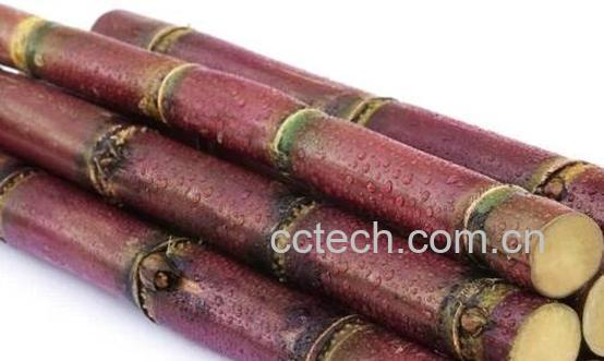 果蔬百科哪些人不能吃甘蔗-0