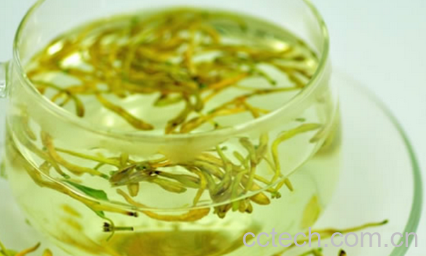 果蔬百科蜂蜜金银花茶的功效与作用-0