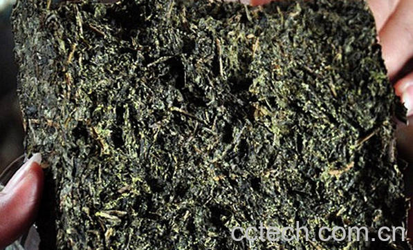 果蔬百科哪些人不能喝黑茶-0