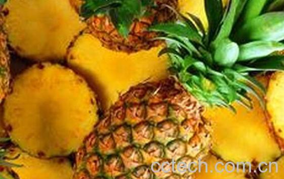 果蔬百科菠萝为什么要用盐水泡-0