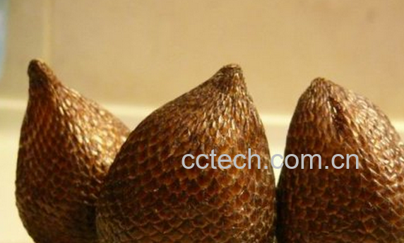 果蔬百科蛇皮果的吃法-0