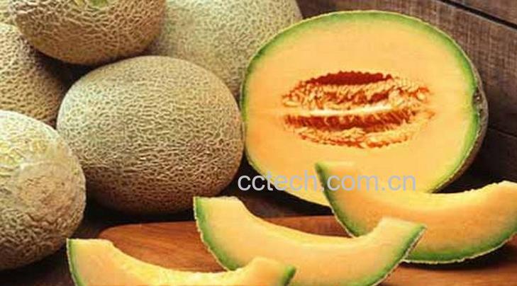 果蔬百科吃哈密瓜的坏处-0