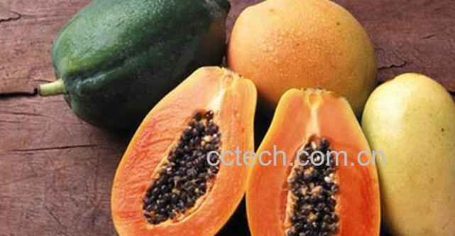 果蔬百科吃木瓜的好处和坏处-0