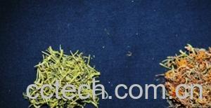 果蔬百科金银花与山银花的鉴别-0