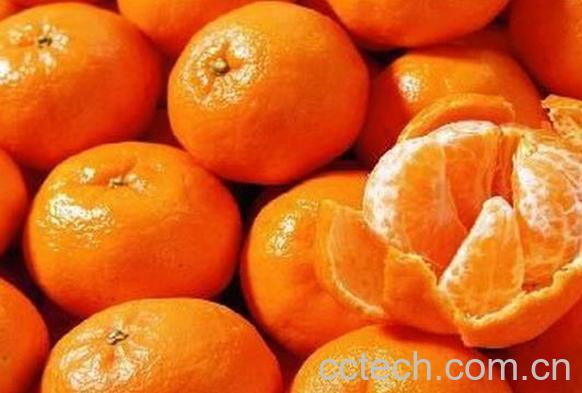 果蔬百科多吃桔子的危害有哪些-0