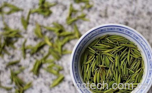 果蔬百科绿茶适合什么人喝-0