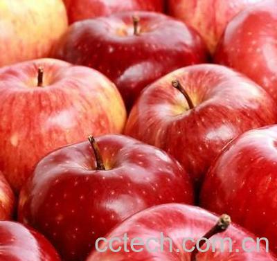 果蔬百科吃苹果的好处和坏处-0