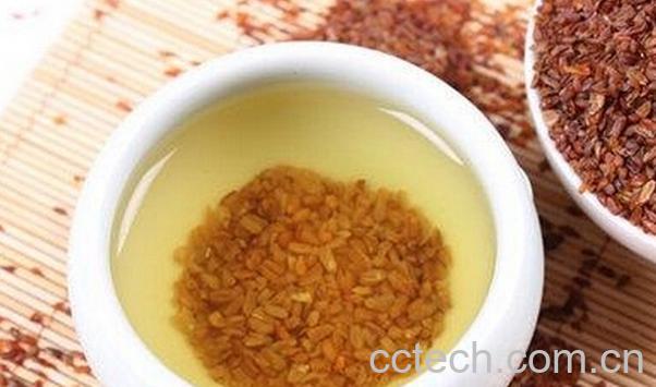 果蔬百科荞麦茶的功效与作用-0