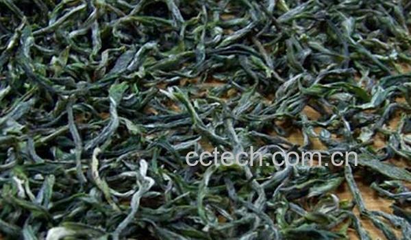 果蔬百科毛峰的功效与作用-0