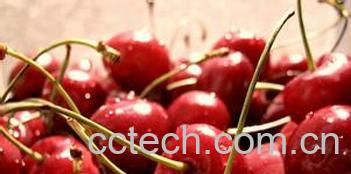 果蔬百科吃樱桃的好处和坏处-0