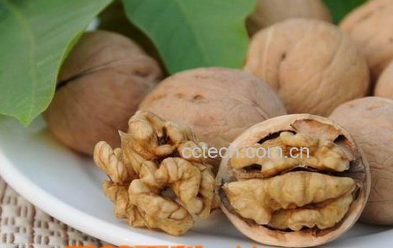 果蔬百科吃核桃的坏处-0