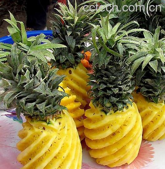 果蔬百科吃菠萝的坏处 吃菠萝有哪些危害-0