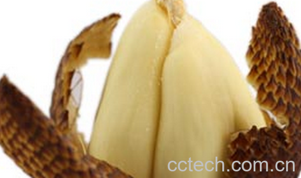 果蔬百科吃蛇皮果的注意事项-0