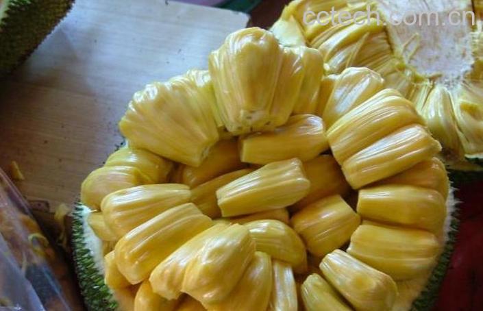 果蔬百科菠萝蜜怎么吃 菠萝蜜如何打开-0