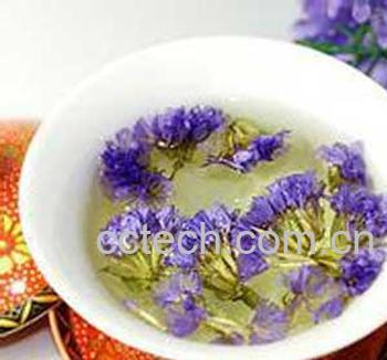 果蔬百科勿忘我花茶的功效与作用-0