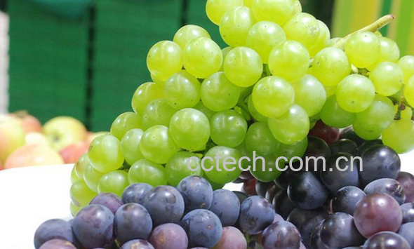 果蔬百科常见葡萄的营养价值-0