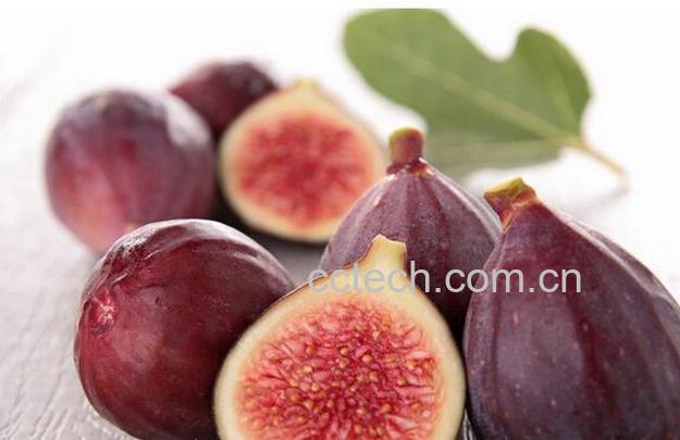 果蔬百科无花果吃法 无花果的功效与作用-0