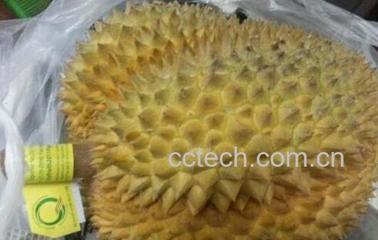 果蔬百科榴莲的食用禁忌-0