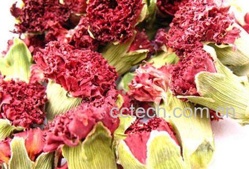 果蔬百科能丰胸的花茶有哪些-0