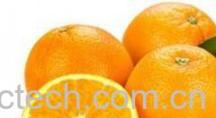 果蔬百科吃橙子的好处和坏处-0