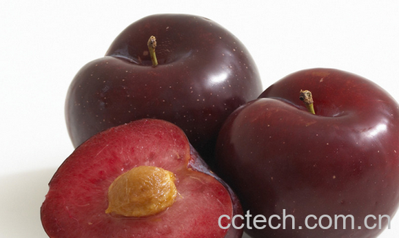 果蔬百科孕妇能吃李子吗-0