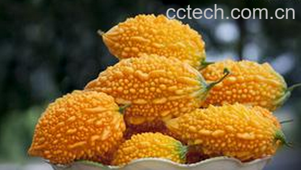 果蔬百科赖葡萄的营养价值与功效-0