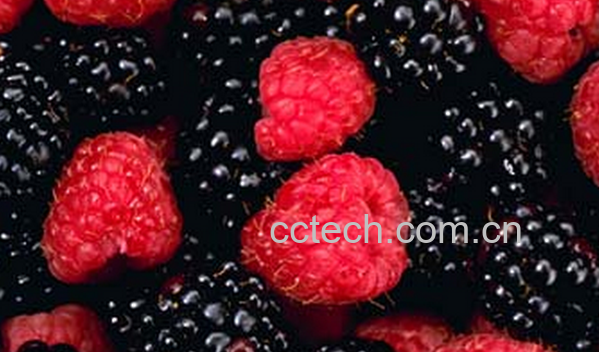 果蔬百科哪些水果能补肾-0