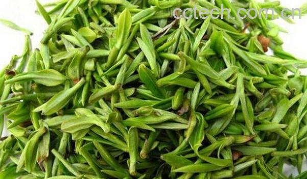 果蔬百科什么人不适合喝绿茶-0