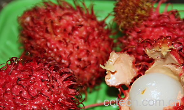 果蔬百科红毛丹怎么吃好-0