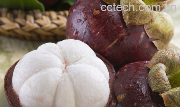 果蔬百科老人吃什么水果好-0