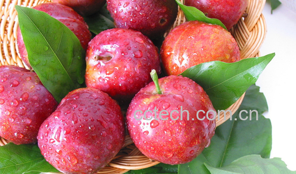 果蔬百科哪些水果老人不能吃-0