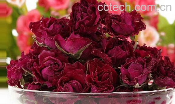 果蔬百科适合秋季喝的八种花茶-0