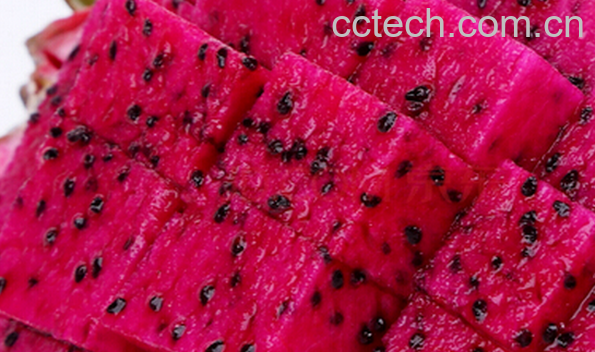 果蔬百科红心火龙果的营养价值-0