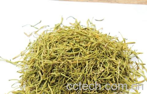 果蔬百科金银花的作用及功效-0