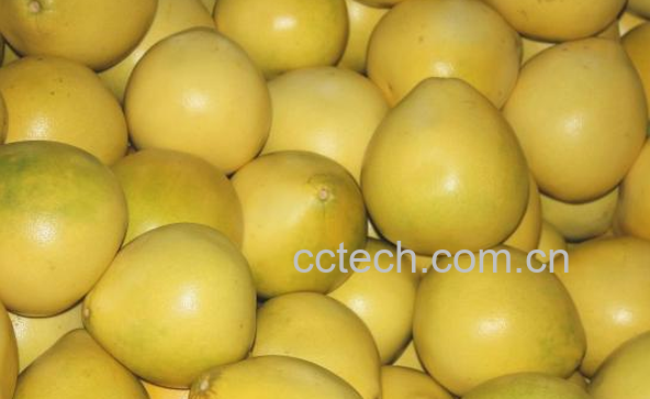 果蔬百科柚子的食疗功效-0