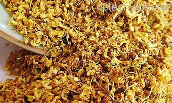 果蔬百科秋天喝什么茶好-0