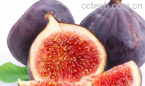 果蔬百科无花果的药用价值-0
